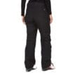 Wms Lightray GORETEX Pant På en modell bakifrån