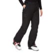 snygga Wms Lightray GORETEX Pant på en modell framifrån