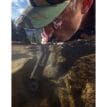 Man som dricker vatten med Lifestraw Personal Peak sugrör