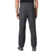 Baksidan av Helly Hansen Elv Light Zip Off vandringsbyxor och shorts (herr)